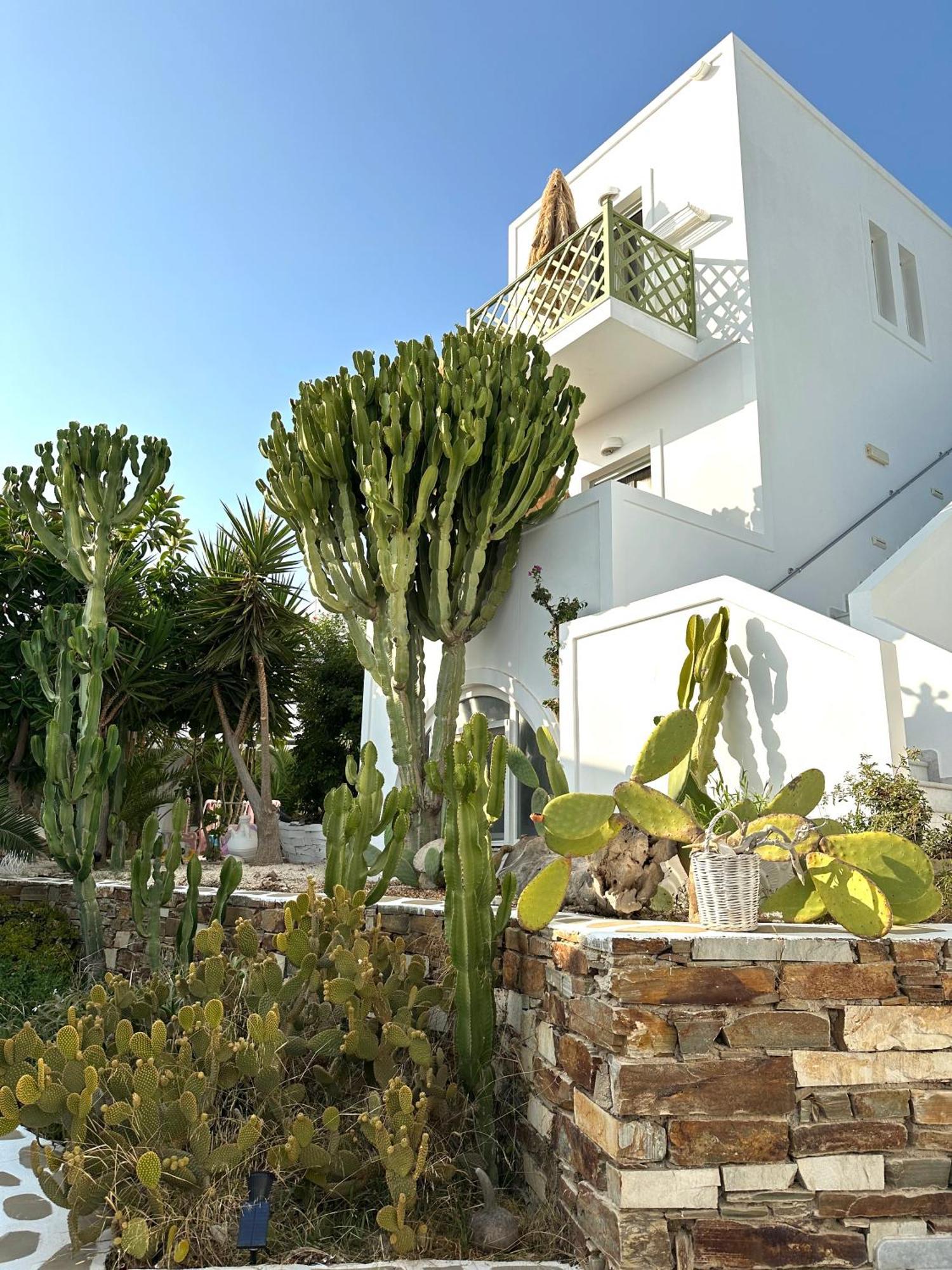 אנטיפארוס Artemis Hotel מראה חיצוני תמונה