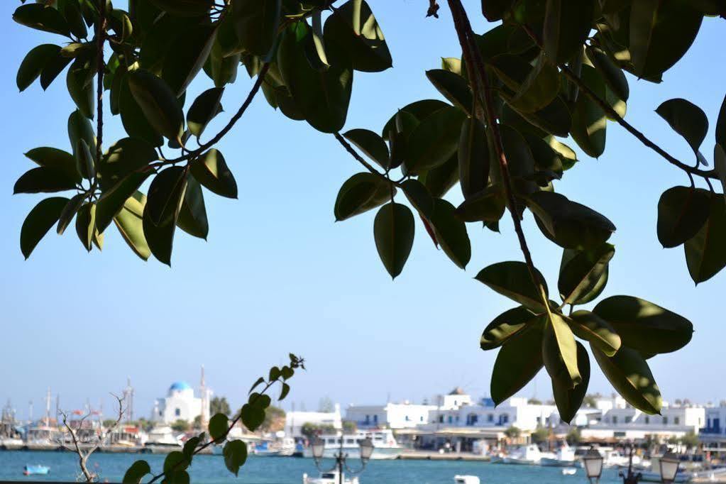 אנטיפארוס Artemis Hotel מראה חיצוני תמונה